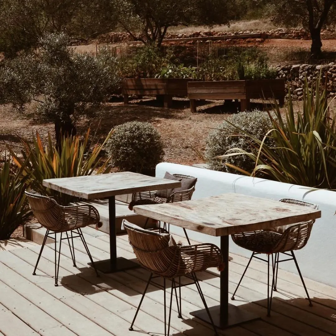 Pure House Ibiza Hotel Sant Jordi de ses Salines Spain
